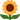 AndRod2